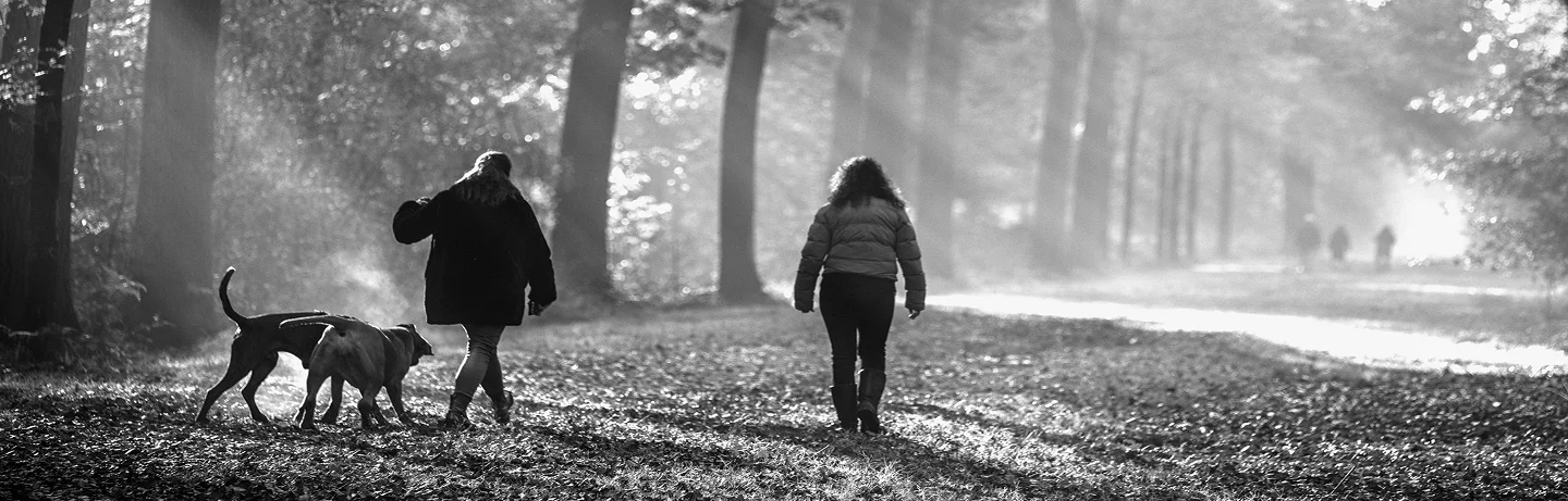 Trees_bw1 2